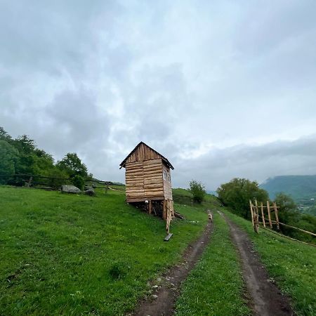Alereks Mountain Camping Tumanyan Екстериор снимка
